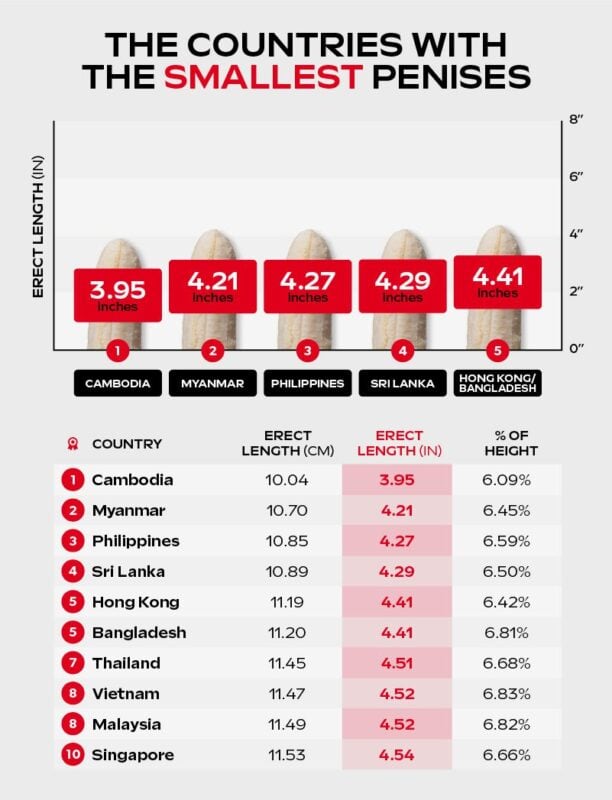 Infographic featuring member measurements of countries with the smallest penises.