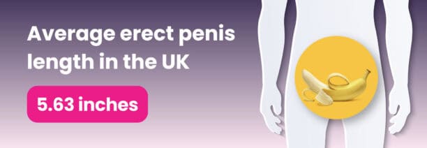 The image depicts the average erect penis length in the UK as 5.63 inches, with a banana and corn cob superimposed on the lower part of a human silhouette to measure and compare the member's size visually.