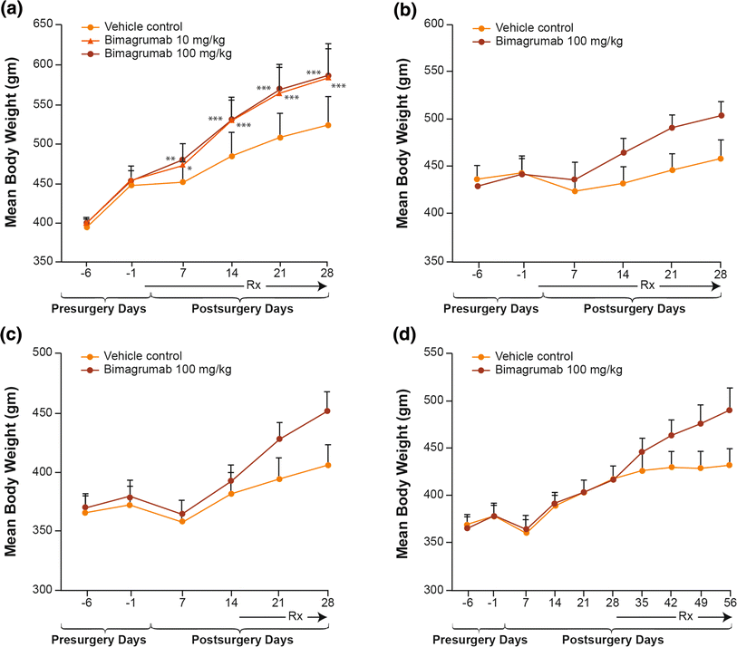 A visual representation of muscle preservation during weight loss treatments, relevant to Eli Lilly's approach.